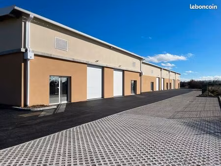 locaux d'activités castelginest