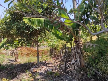 terrain 785 m2 constructible la crete st joseph