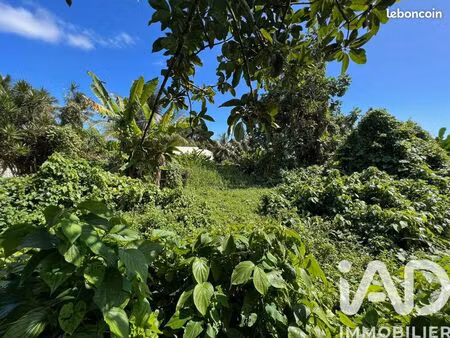 terrain 1240 m² capesterre-belle-eau