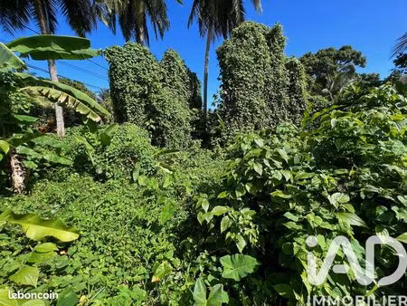 terrain 600 m² capesterre-belle-eau