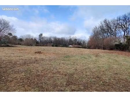 terrain constructible