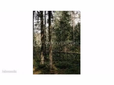 forêt 12 865 m² peyrignac