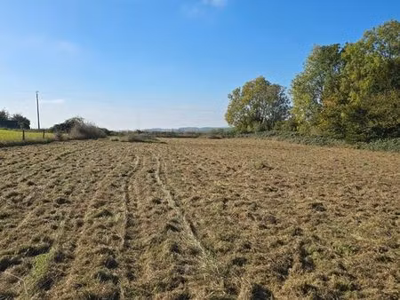 terrain à bâtir 4752m2