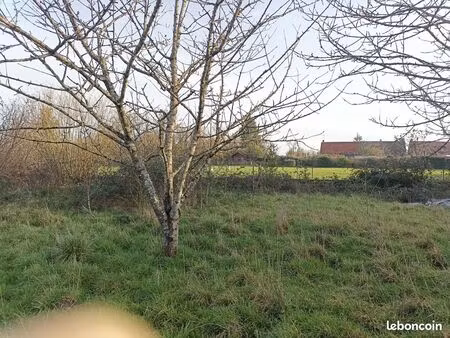 terrain constructible