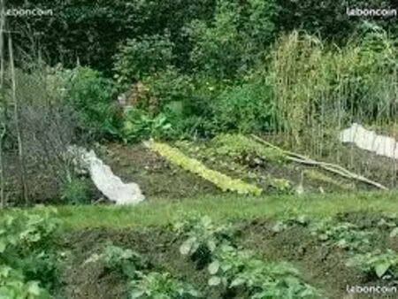 location jardin / parcelle ombragé