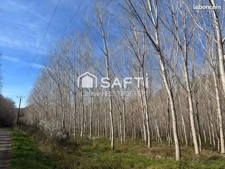 terrain 31186 m² villefranche-du-perigord