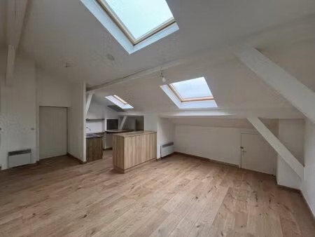 location appartement 3 pièces 47 m² à lyon 7 (69007)