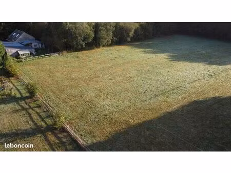 terrain constructible