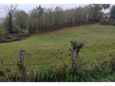 terrain constructible