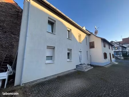 immeuble 170 m² schiltigheim