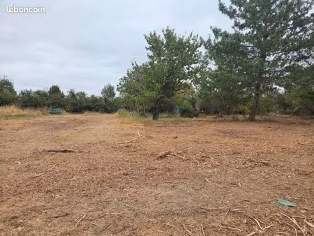 terrain 550 m² pinsaguel