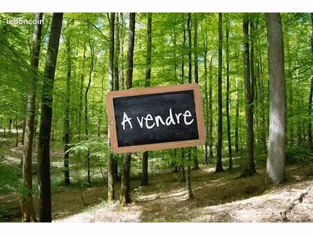 parcelles boisees arsac