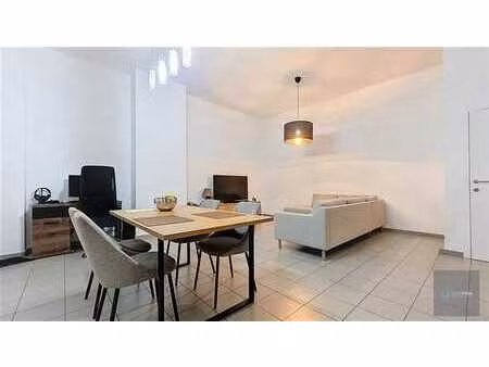 option! appartement