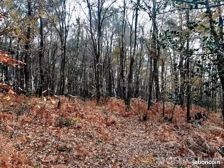terrain 5350 m² quistinic