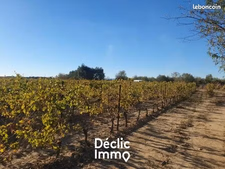 terrain agricole 40 845 m² servian