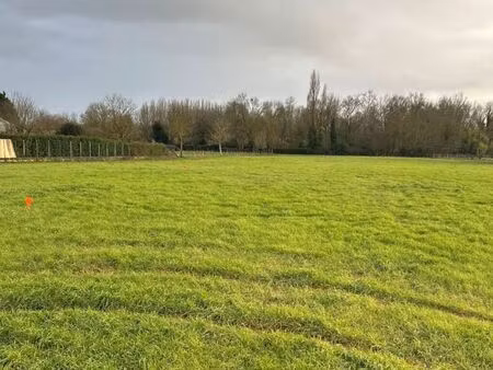 terrain 623 m² amure