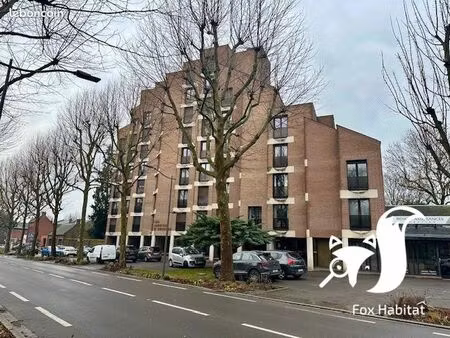 studio 1 pièce 25 m²