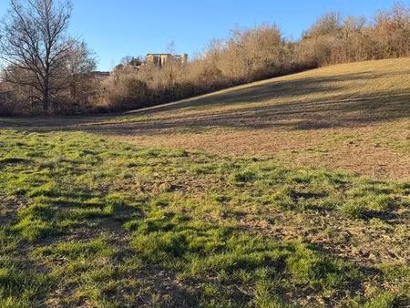 terrain à vendre castelnau-barbarens