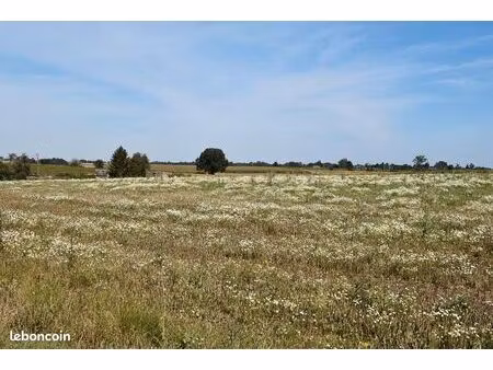 terrain 650 m² grand camp