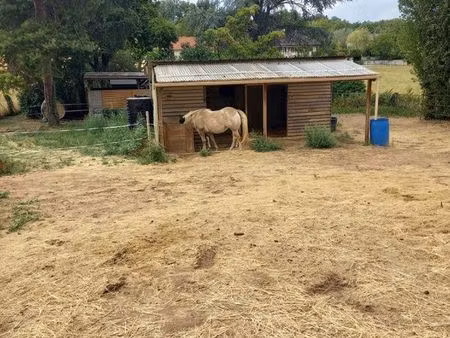 pré / pâture et box pour 2 chevaux
