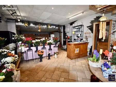 immeuble 7 pièces 230 m²