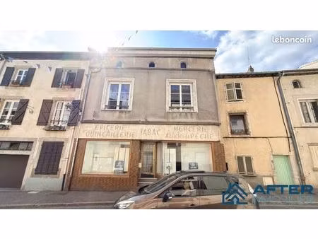 maison 7 pièces 250 m²
