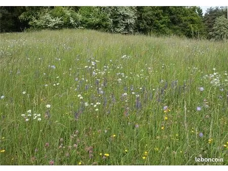 vente propriété équestre