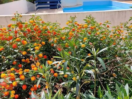 appartement 2 pièces 29 m2