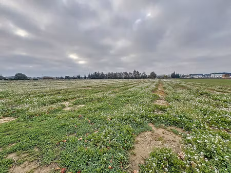 achat terrain 16 978m² pia 66380