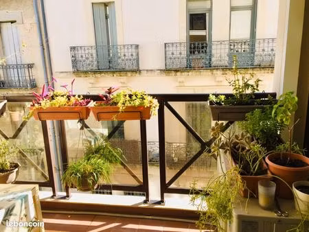 montpellier quartier beaux arts 2 pièces 46m2