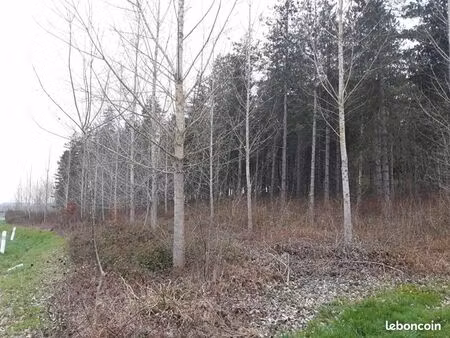 forêt 17 160 m² cauzac