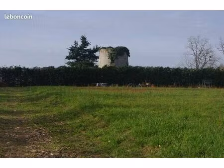 terrains de 4 ha avec vue panoramique à 10 mn de montauban