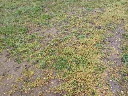 deux terrains à bâtir auxonne 21