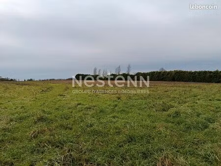 terrain 2481 m² mouzeuil saint martin
