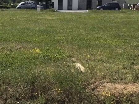 terrain 733 m² mouilleron en pareds