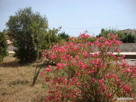 terrain 300 m² la crau