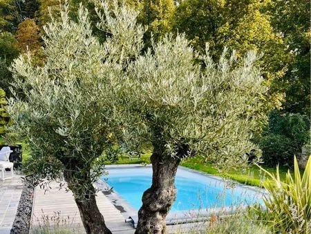 longère de charme rénovée avec piscine & espace bien-être - 180m2