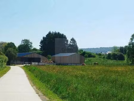 ecurie de propriétaires