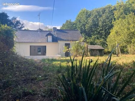 maison individuelle à derval