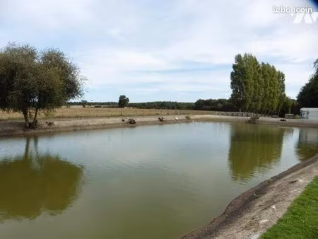 terrain 15910 m² la chapelle glain