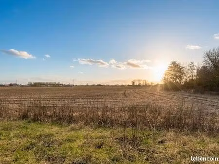 terrain 1 137 m² bersee