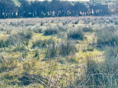 terrain 765 m² la garde