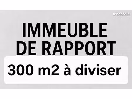 immeuble de rapport 300 m2 à diviser