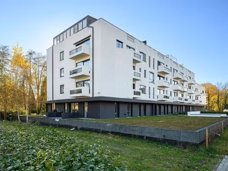 appartement à louer à zolder € 1.050 (lka08) - hillewaere hasselt | zimmo