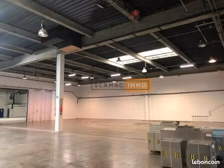 local d'activité 547 m²