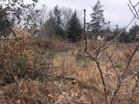 terrain constructible viabilisé