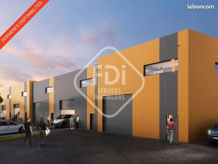 local d'activité 290 m²