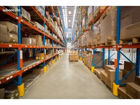 local 1400 m² montaigu-vendée