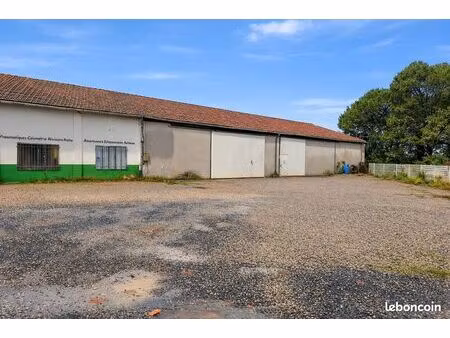 entrepôt / local de 310 m2 + extérieur de 100m2