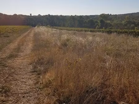 loue terrain saint-thibéry